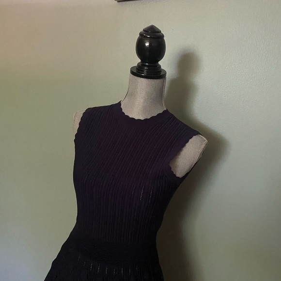 Ted Baker navy dress size small / extra small - Picture 4 of 8
